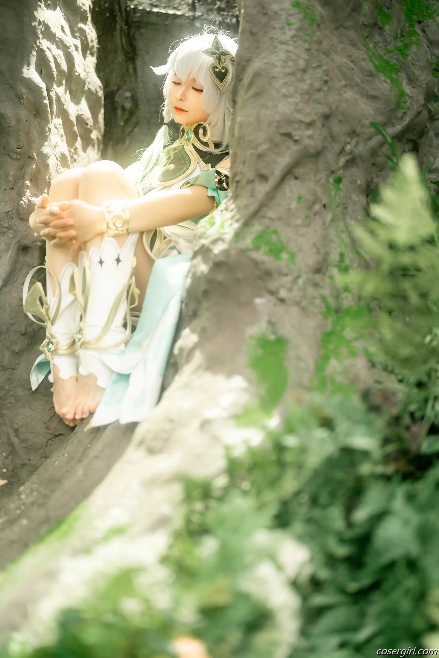 蠢沫沫 大慈树王