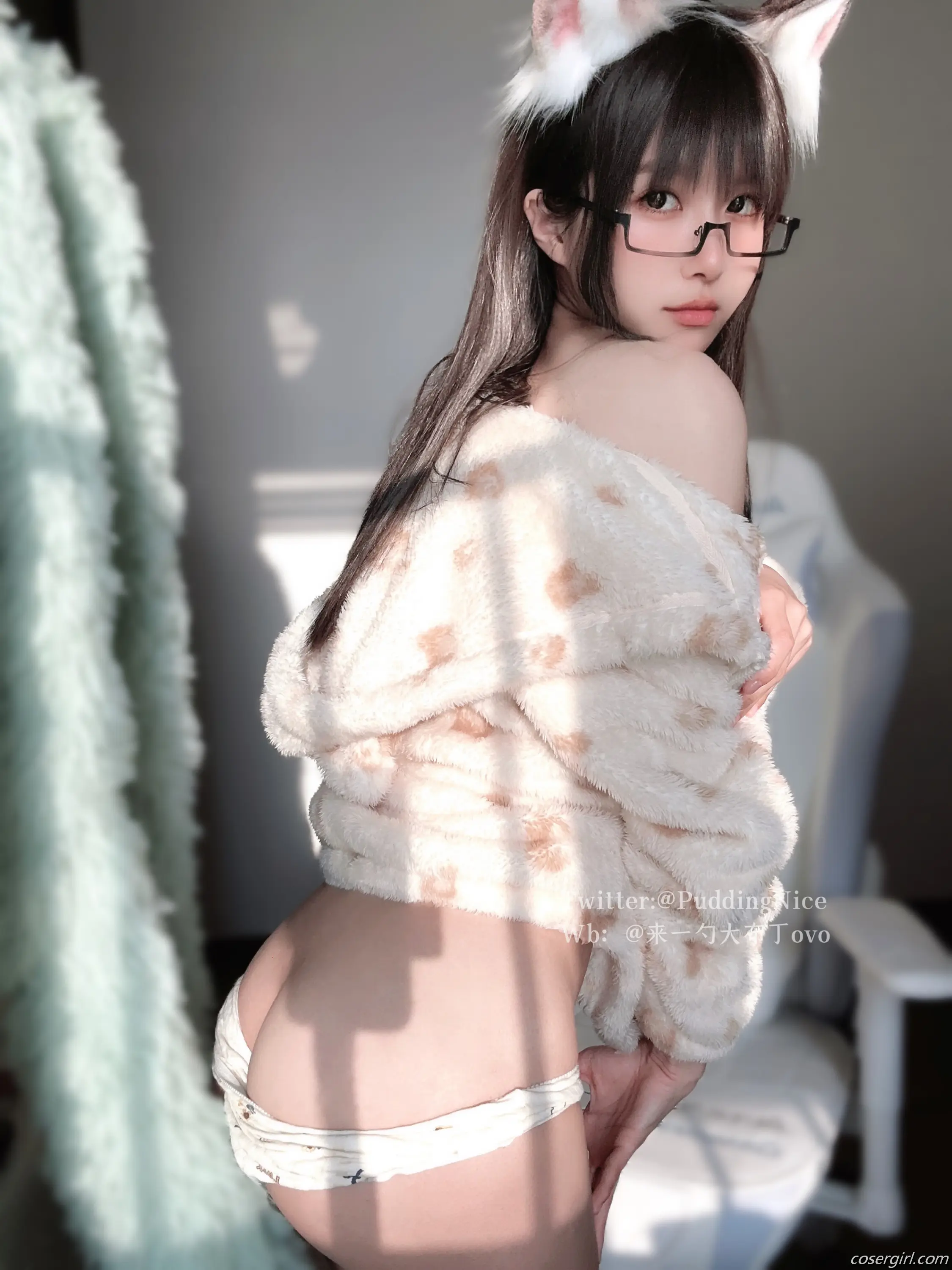 布丁大法 VII 芝士猫