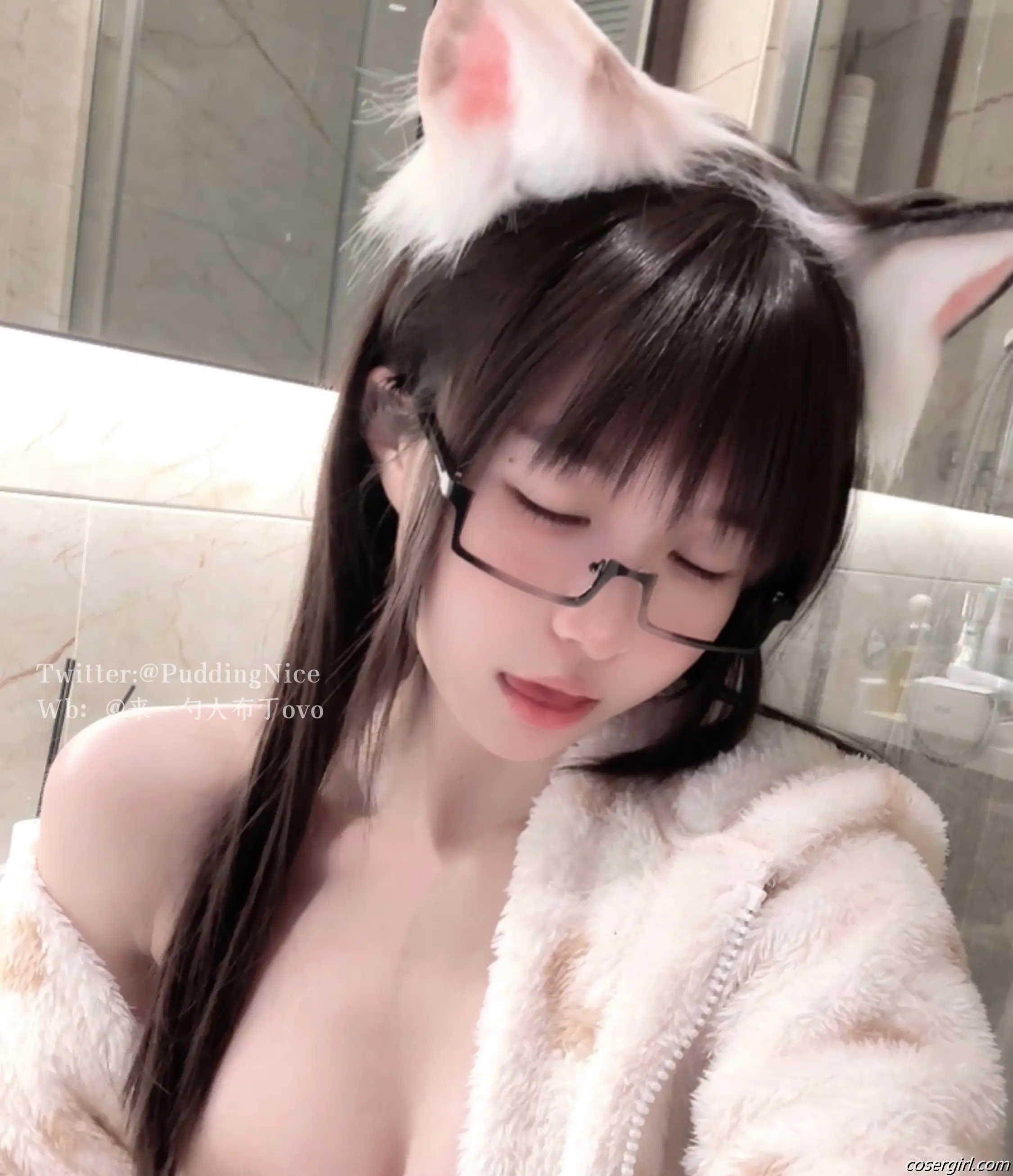 布丁大法 VII 芝士猫