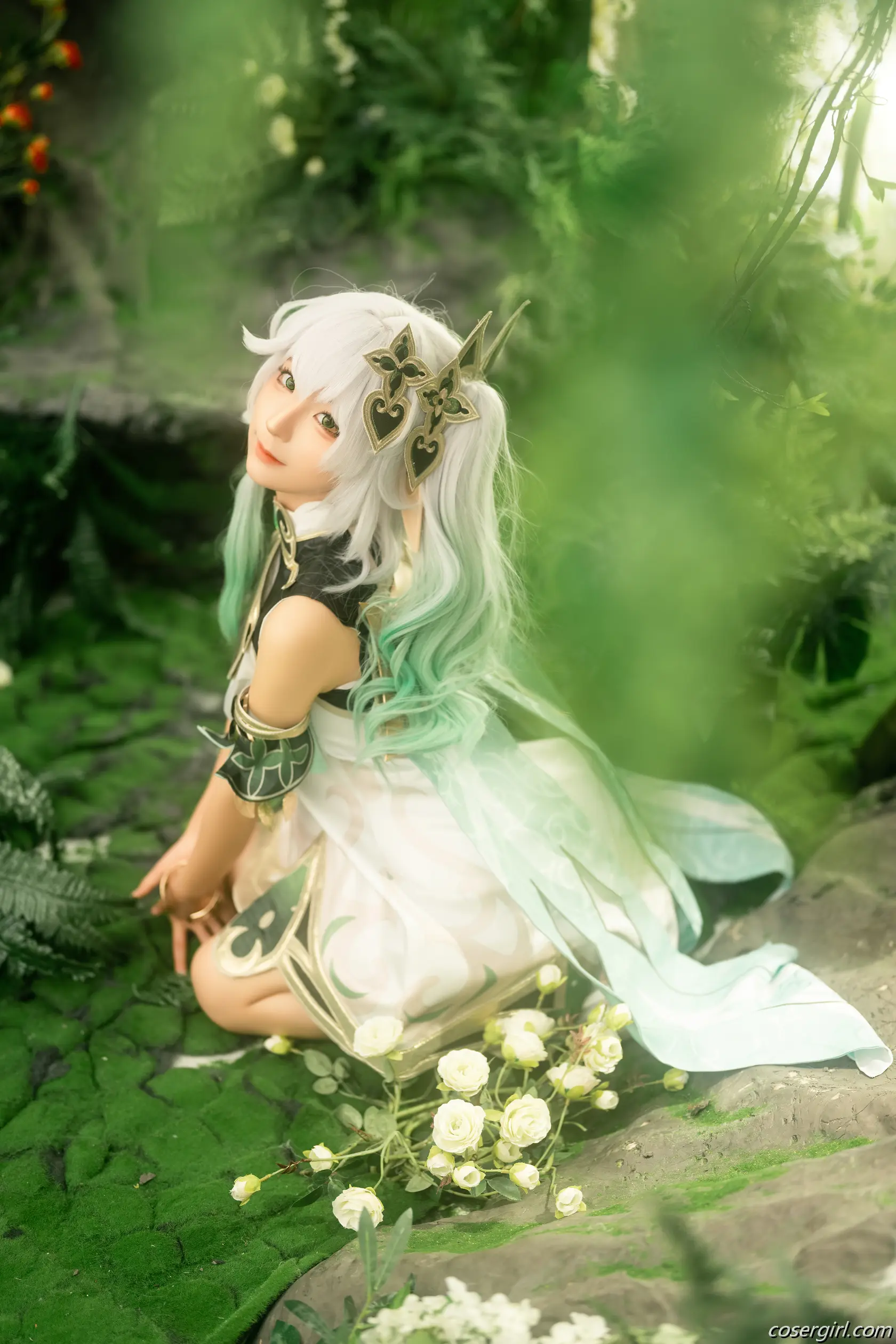 蠢沫沫 大慈树王