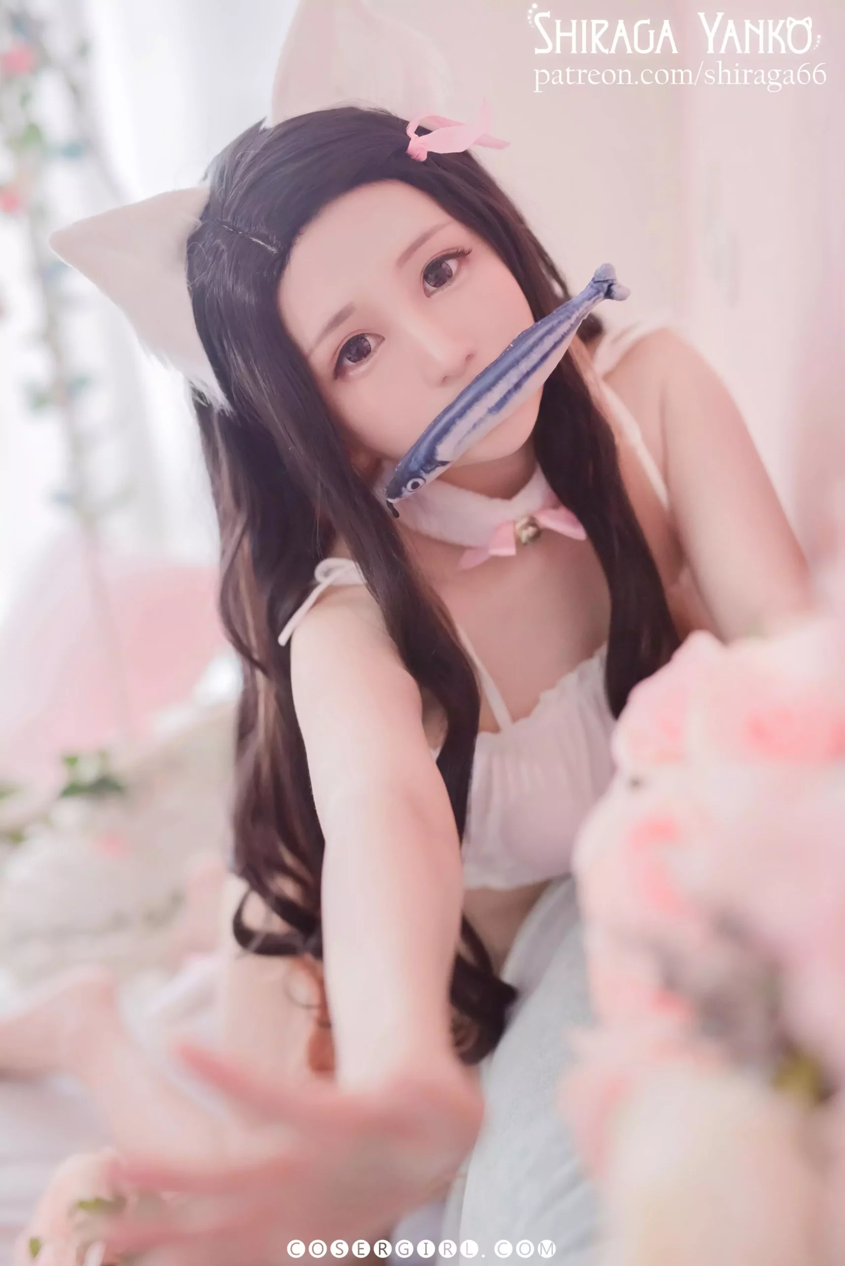 图片[2]-Shiraga Yanko 写真合集下载 - coser福利社[04套][355MB]-coser福利社